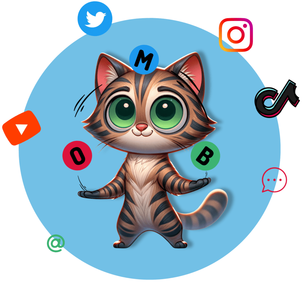 layaboutcats social media joggle